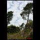 chateaudesfees.JPG