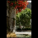 bloemfontein-castelane.JPG