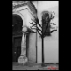 brescia-spooky.JPG