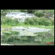 watervalitalie.JPG